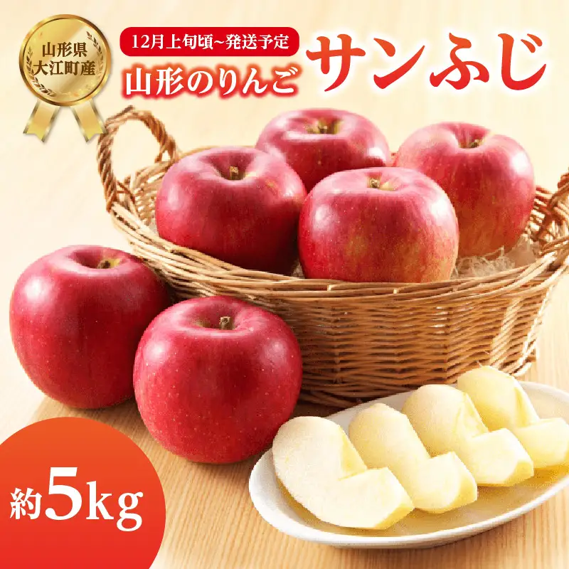 《先行受付》サンふじ約5kg 【2026年12月上旬頃～発送予定】【山形りんご・大江町産】 001-083