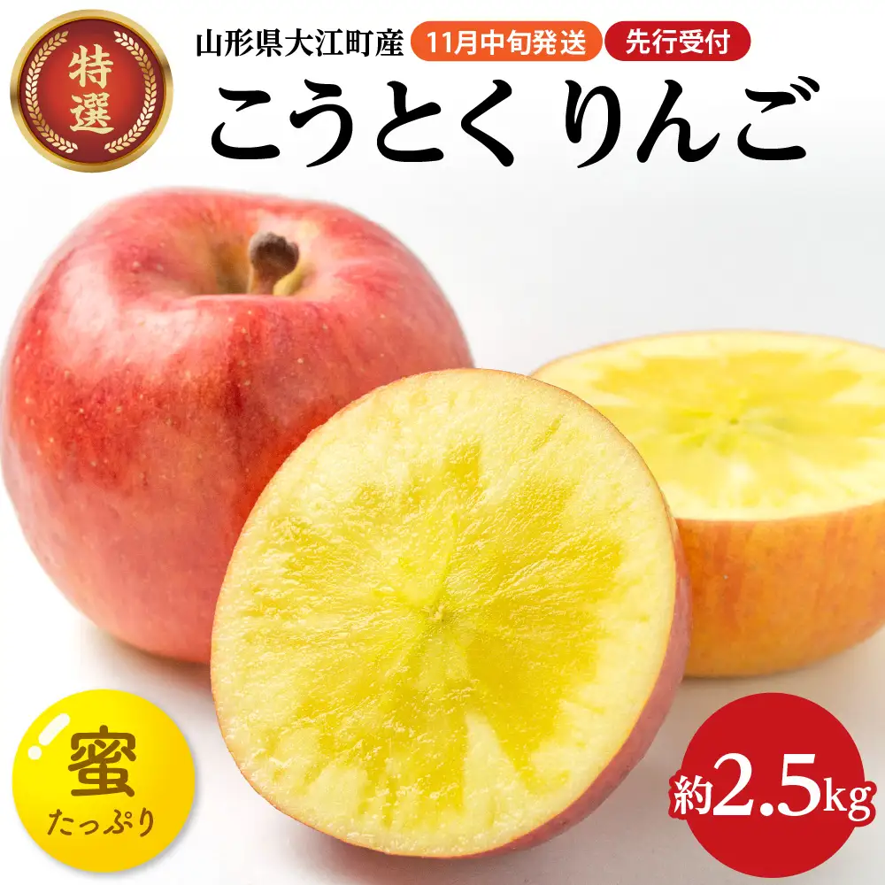  《先行受付》特選こうとくりんご約2.5kg 【2026年11月中旬頃～発送予定】【大江町産・山形りんご・大地農産・11月・12月】 028-024