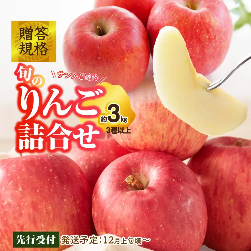 《先行受付》贈答規格 旬のりんご詰合せ約3kg（サンふじ確約3種以上）特秀～秀 大江町産【2026年12月上旬頃～発送予定】【大江町産・山形りんご・りんご専科 清野】 015-052