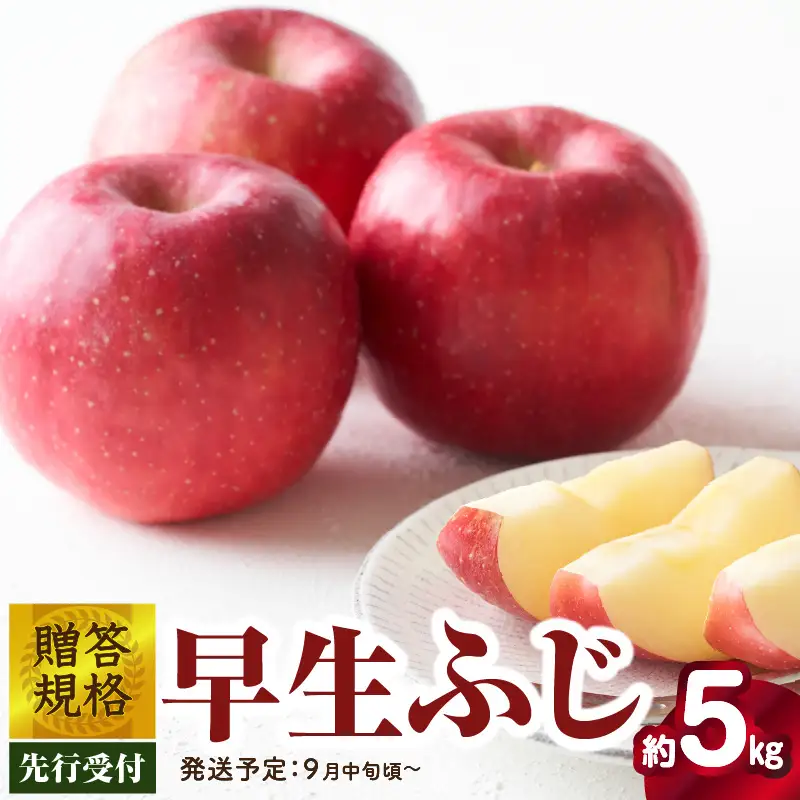 《先行受付》贈答規格 早生ふじ約5kg（特秀～秀14～20玉）【2026年9月中旬頃～発送予定】【大江町産・山形りんご・りんご専科 清野】 015-054