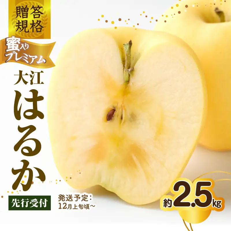 《先行受付》贈答規格 蜜入りプレミアム大江はるか約2.5kg 特秀～秀【2026年12月上旬～発送予定】【大江町産・山形りんご・りんご専科 清野】 015-059