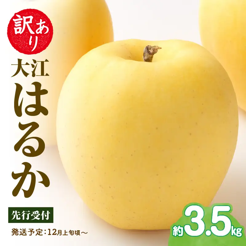《先行受付》訳あり 大江はるか約3.5kg【2026年12月上旬～発送予定】【大江町産・山形りんご・りんご専科 清野】 015-060