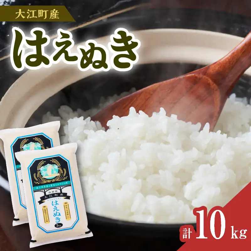 大江町産 はえぬき 10kg(5kg×2袋)【山形県産】【2025年度産米】 001-086