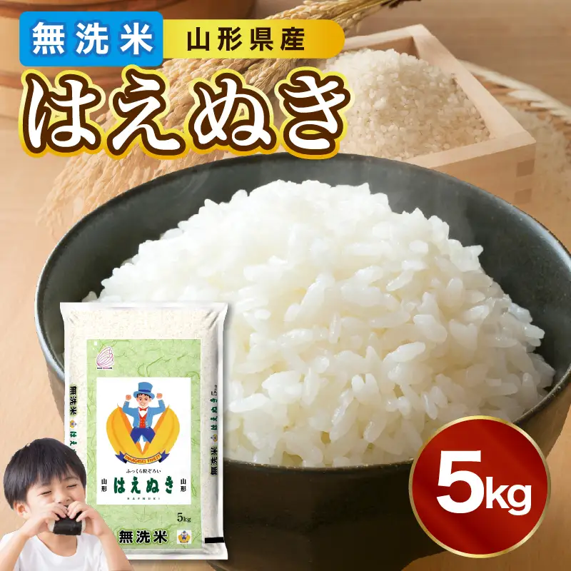山形県産 無洗米 はえぬき 5kg【山形県産 BG精米製法】【2025年度産米】 036-001