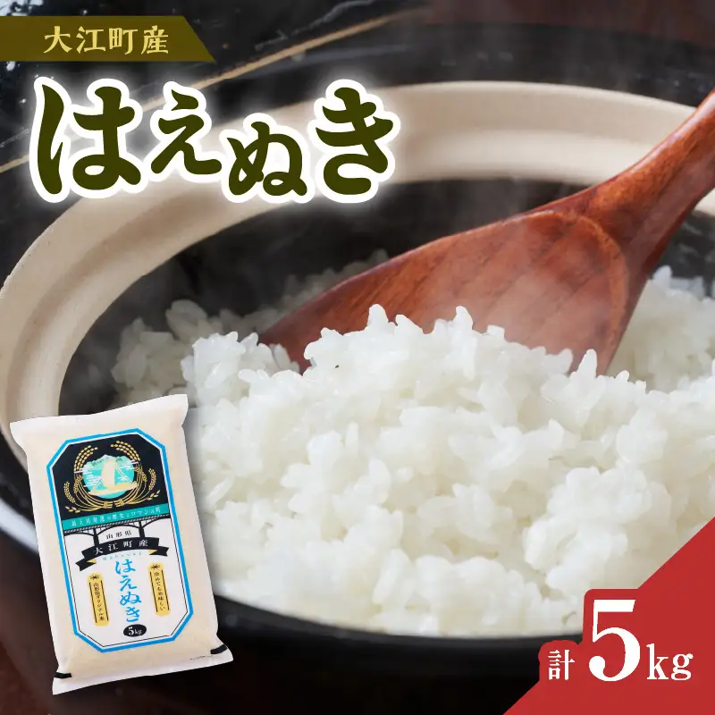 大江町産 はえぬき 5kg【山形県産】【2025年度産米】 001-097