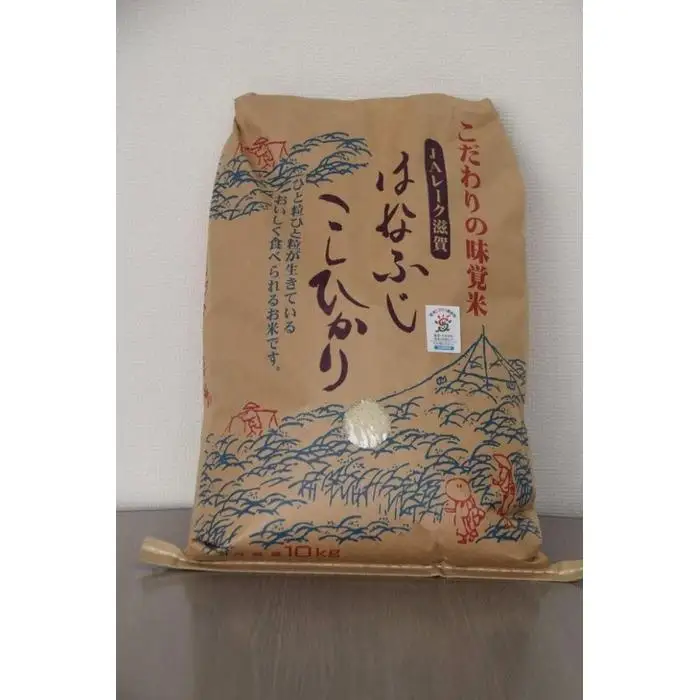 令和7年産 米 コシヒカリ 「はなふじ」 大津市産 精米 10kg ×1袋 [AZ007]