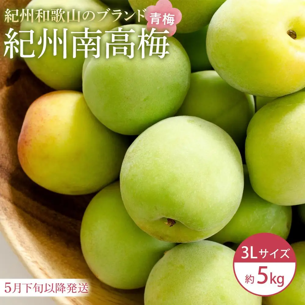 【2026年5月下旬以降発送】紀州南高梅(青梅) 5kg〈大粒/3Lサイズ〉