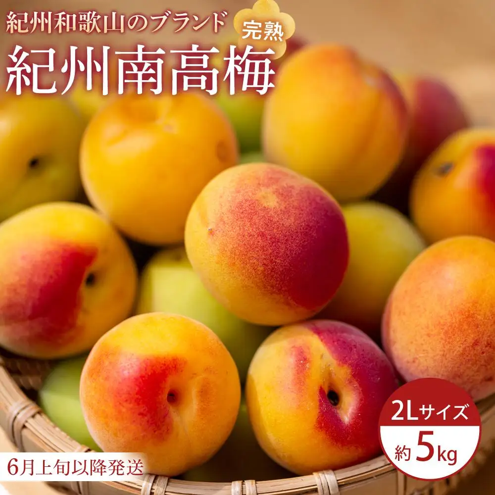 【2026年6月上旬以降発送】紀州南高梅(完熟梅) 5kg〈2Lサイズ〉