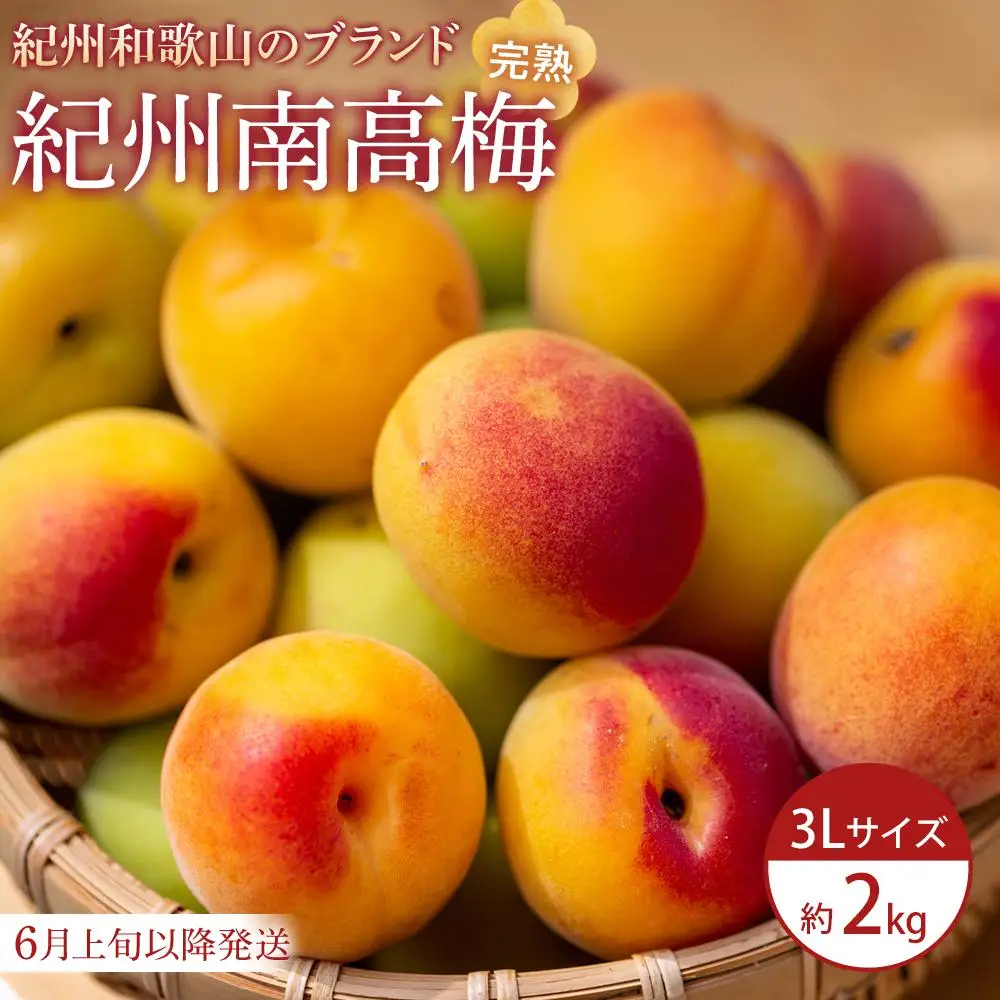 【2026年6月上旬以降発送】紀州南高梅(完熟梅) 2kg〈大粒/3Lサイズ〉