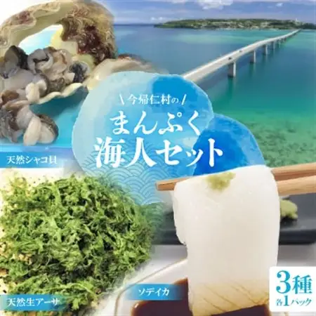 まんぷく海人セット(天然シャコ貝、天然生アーサ、ソデイカ)【配送不可地域：離島】【1483969】