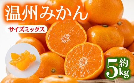 ＜先行予約！2026年12月上旬以降順次発送予定＞香川県産 温州みかん(約5kg/サイズミックス) 国産 果物 フルーツ 蜜柑 傷あり 柑橘【man119-A】【Aglio nero】