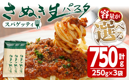 さぬき生パスタ(スパゲッティ) (750g) 小麦 麺 小分け 常温 コシ もちもち 香川県 【man192】【こんぴらや販売】