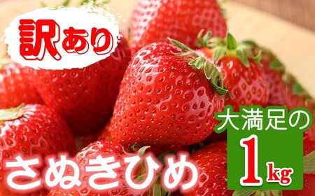 ＜期間限定！2026年3月下旬以降順次発送予定＞＜訳あり＞ 香川県産 さぬきひめいちご(約1kg) 国産 果物 苺 イチゴ フルーツ 産地直送 冷蔵便 【man106・man107】【Aglio nero】