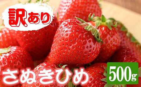 ＜期間限定！2026年3月下旬以降順次発送予定＞＜訳あり＞香川県産 さぬきひめいちご(約500g) 国産 果物 苺 イチゴ フルーツ 産地直送 冷蔵便 【man106・man107】【Aglio nero】