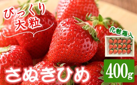 ＜先行予約！2027年2月中旬以降順次発送予定＞＜贈答用＞香川県産 さぬきひめいちご(約400g) 国産 果物 苺 イチゴ フルーツ 産地直送 【man101】【Aglio nero】
