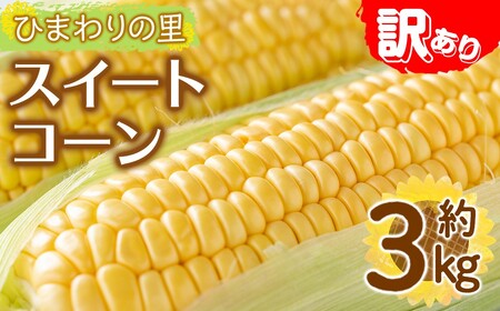 ＜先行予約！2026年6月上旬以降順次発送予定＞＜訳あり・家庭用＞イエローコーン(約3kg) 香川県 国産 トウモロコシ とうもろこし 新鮮 冷蔵便 【man114・man115】【Aglio nero】