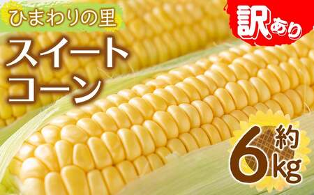 ＜先行予約！2026年6月上旬以降順次発送予定＞＜訳あり・家庭用＞イエローコーン(約6kg) 香川県 国産 トウモロコシ とうもろこし 新鮮 冷蔵便 【man114・man115】【Aglio nero】