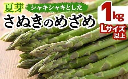 ＜期間限定！2026年6月上旬以降順次発送＞夏芽！太物(Lサイズ以上)さぬきのめざめ アスパラガス(約1kg・Lサイズ以上) 香川県 国産 野菜 アスパラ 新鮮 冷蔵便 【man084-B】【Aglio nero】
