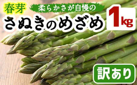 ＜期間限定！2026年2月下旬以降順次発送予定＞＜訳あり・家庭用＞春芽！アスパラガス「さぬきのめざめ」(約1kg) 香川県 国産 野菜 アスパラ 新鮮 冷蔵便 【man118】【Aglio nero】