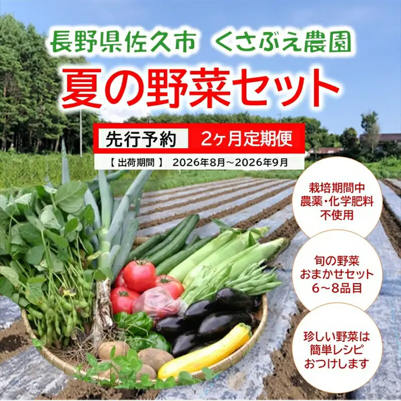 【2ヶ月定期便】くさぶえ農園『夏の野菜6～8品目セット』（2026年8～9月出荷／北海道・沖縄・離島は配送不可）高原 無農薬 産地直送 新鮮 旬彩 簡単レシピ 先行予約 【 産直 高原野菜 季節の野菜 旬の野菜 有機野菜 有機栽培 農薬 化学肥料 不使用 佐久市 】