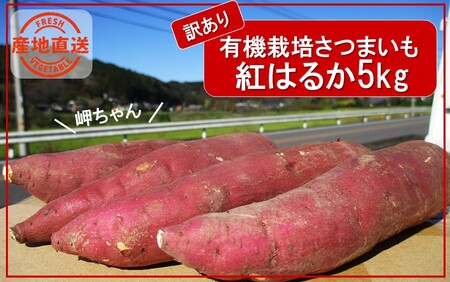 【先行予約】【訳あり】有機栽培さつまいもの岬ちゃん5kg（品種：紅はるか）_2357R