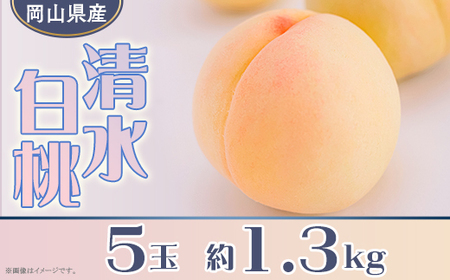 岡山県産 清水白桃5玉（約1.3kg）【26年7月下旬以降に順次発送】