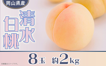岡山県産 清水白桃８玉（約2.0kg）【26年7月下旬以降に順次発送】