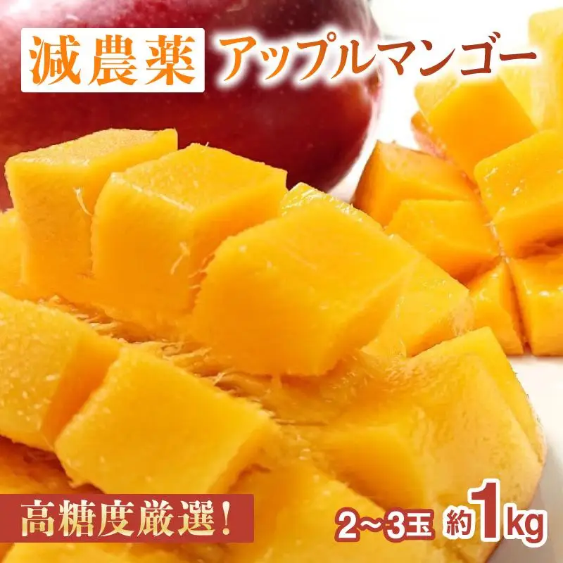 プレミアム完熟マンゴー1kg 
