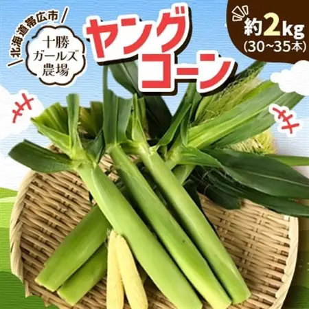 先行受付【十勝ガールズ農場】直送 ヤングコーン箱詰め 約2kg(30～35本)_野菜 とうもろこし  トウモロコシ_【配送不可地域：離島】【1490692】
