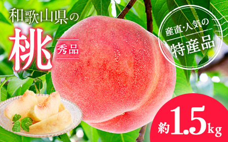 【産直・人気の特産品】和歌山の桃 約1.5kg ｜ 桃 桃 桃 桃