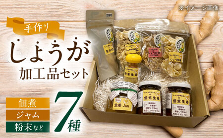 しょうが 加工品 7種セット 生姜[AEAO001]