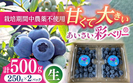 【6月より順次発送】 ブルーベリー 250g×2 「あいさい彩ベリー」[AEBZ002]