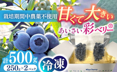 【7月より順次発送】 冷凍 ブルーベリー 250g×2 「あいさい彩ベリー」  大粒サイズ[AEBZ003]