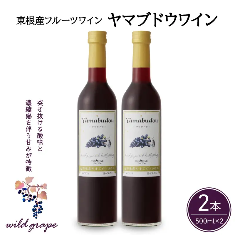 ヤマブドウワイン 500ml×2本セット ワイン ぶどう 山葡萄