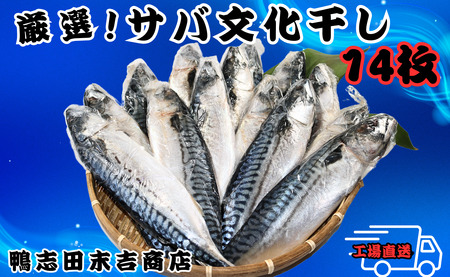 サバ文化干し 14枚 サバ