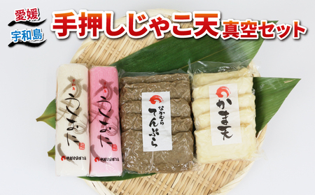 じゃこ天 真空 セット 中村かまぼこ店 かまぼこ C010-013006