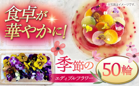 季節のエディブルフラワー50輪おまかせ 桂川町/NOGAMI FARM [ADAU001] 食用 花 食用花 エディブルフラワー 盛り付け カフェ