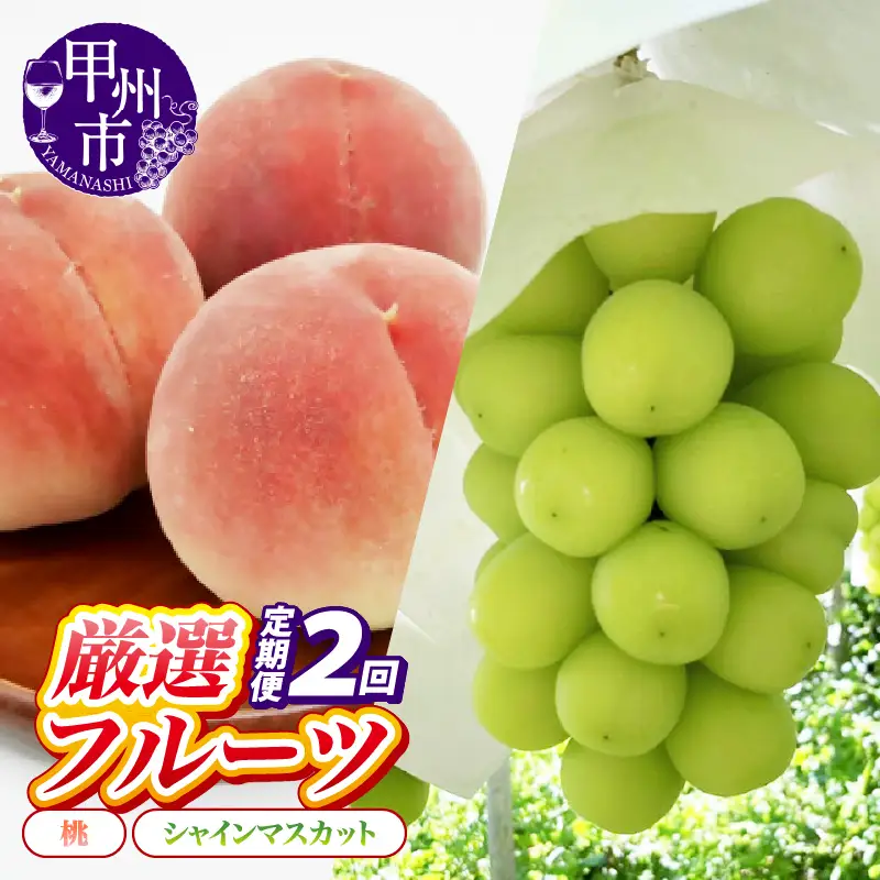 【定期便】甲州の名産品が詰まった厳選フルーツ2回定期便 桃・シャインマスカット【2026年発送】（IS）C-465  桃 シャインマスカット フルーツ
