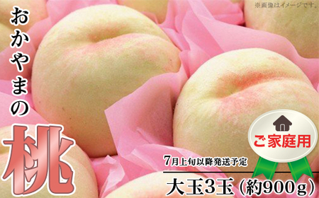 【ご家庭用】おかやまの桃 大玉3玉（約900g）【26年7月上旬以降に順次発送】