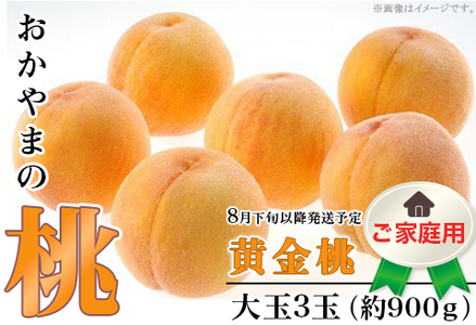 【ご家庭用】おかやまの「黄金桃」 大玉3玉（約900g）【26年8月下旬以降に順次発送】
