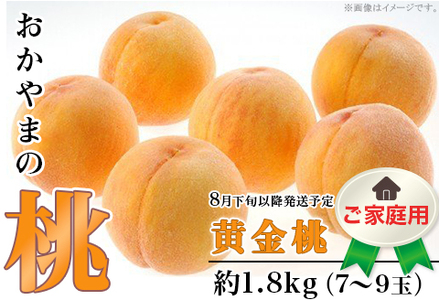 【ご家庭用】おかやまの「黄金桃」約1.8kg（7～9玉）【26年8月下旬以降に順次発送】