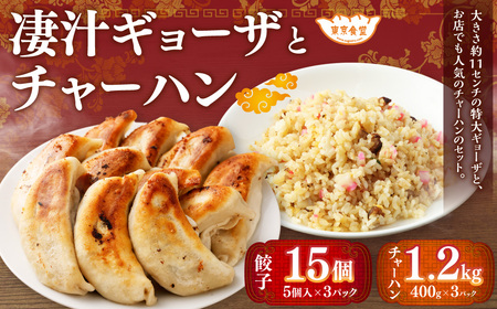凄汁ギョーザ（15個）とチャーハン（約400g×3パック） 2種 セット 冷凍 餃子 炒飯 ぎょうざ ギョウザ 中華 中華惣菜 点心