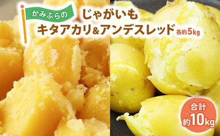 【令和8年産】かみふらのじゃがいも「キタアカリ5kg & アンデスレッド5kg」 野菜 旬の野菜 北海道産 北海道野菜 国産 国産野菜 グルメ 食材 ポテト 北海道産じゃがいも 