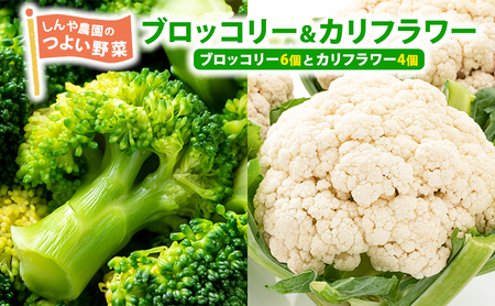【令和8年産】しんや農園のつよい野菜「ブロッコリー6個 & カリフラワー4個」 旬の野菜 北海道産 北海道野菜 国産 国産野菜 グルメ 食材 栄養素 ビタミンC 新鮮 新鮮野菜【北海道上富良野町産】