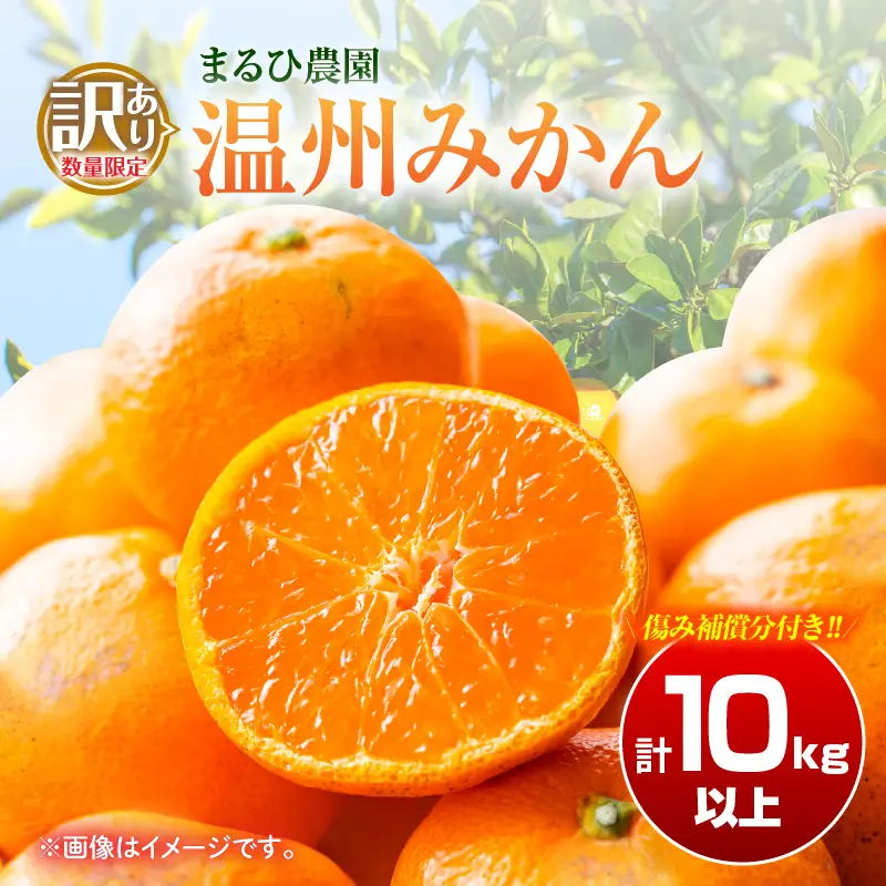 訳あり 温州 みかん 計10kg以上 傷み補償分入り まるひ農園_BB174-26