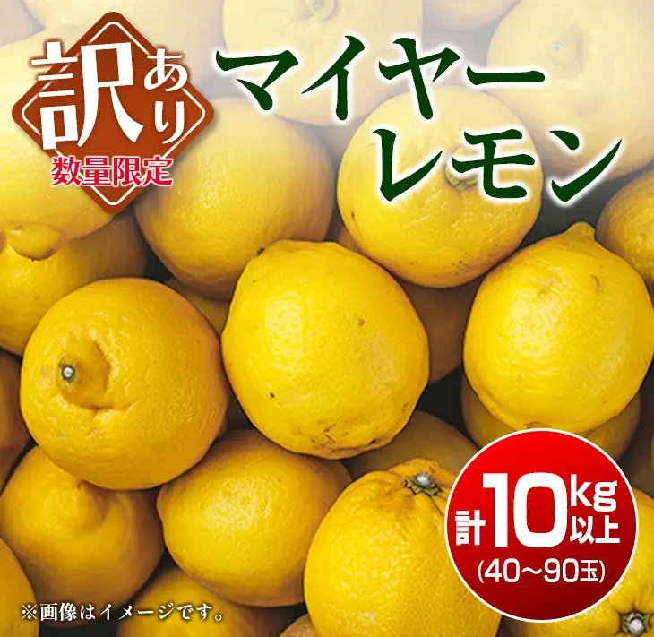 訳あり 先行予約 数量限定 マイヤーレモン 計10kg以上 フルーツ 果物 柑橘_BB130-23