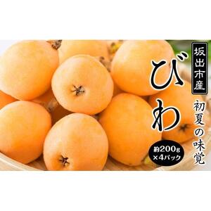 びわ 坂出市産 約1.6kg ( 4パック × 2箱 )｜初夏の味覚