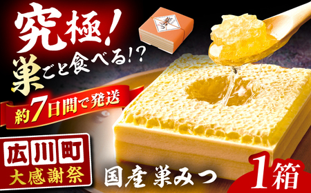 巣はちみつ 国産 300g ｜ ハチミツ 大感謝祭 寄附額見直し [AFAI004]