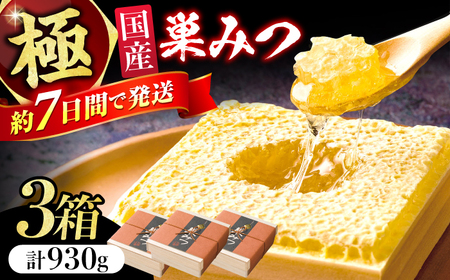 極巣みつ 930g (310g×3個) / ハチミツ 蜂蜜 ハチミツ[AFAI009]