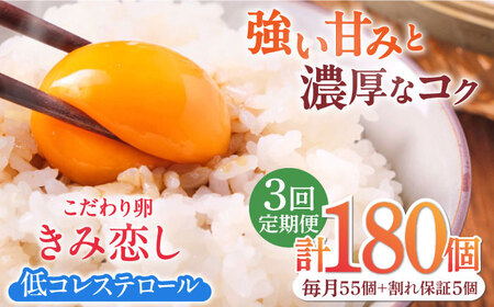 【3回定期便】【卵】きみ恋し 箱入り 60個（55個+割れ保証5個）×3ヶ月 総計180個  [AFAJ002]